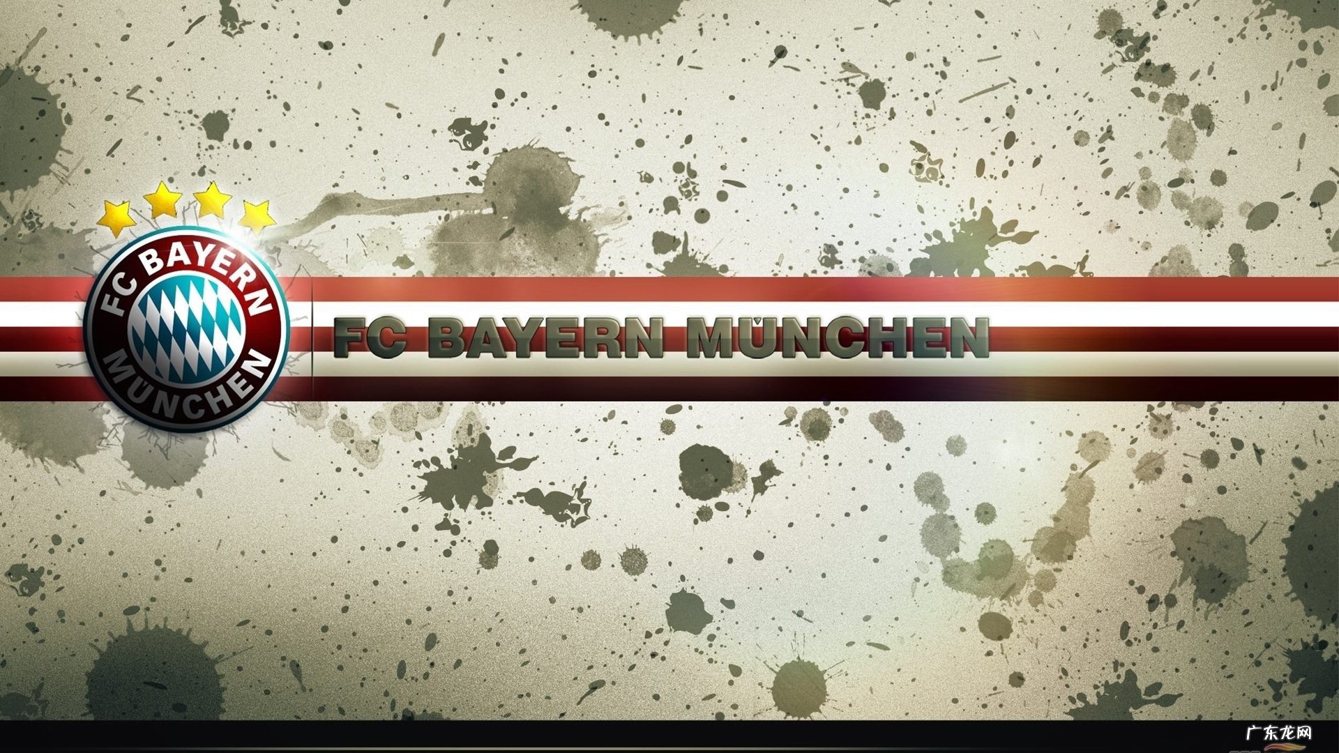 平均一个月瘦几斤才算是正常的健康减肥