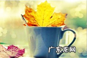 千牛店铺怎么激活授权 如何激活我的淘宝店铺?淘宝店铺激活步骤淘宝店怎么激活