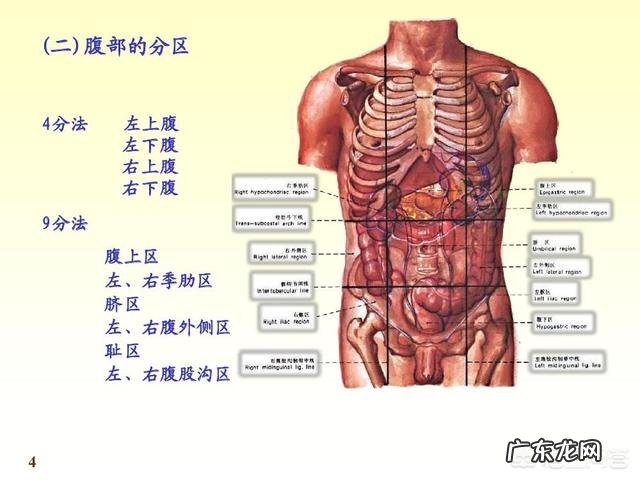 李时珍瘦身方真的有效么?