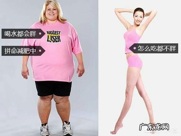 减肥期间吃什么减肥最快最有效 如何减肥呢?减肥期间饮食注意什么好呢?