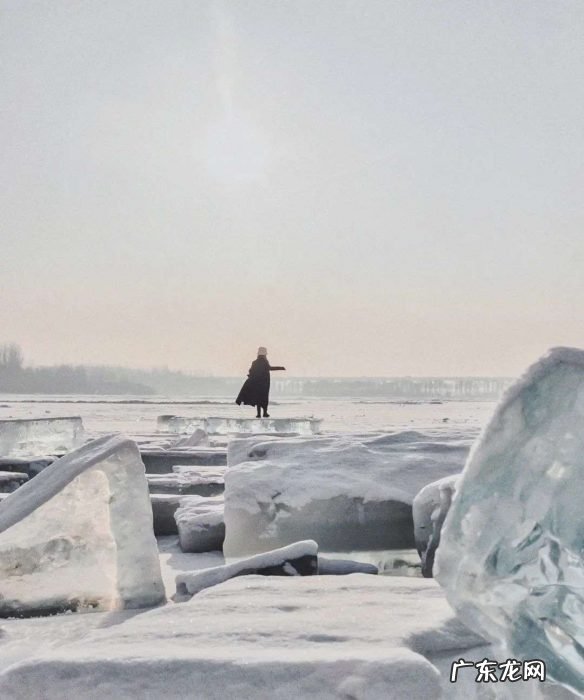 是什么让这些东北青年拒绝北漂?
