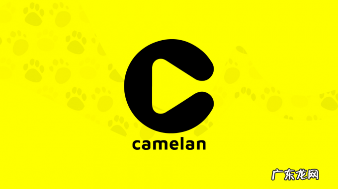 社交泛娱乐卷卷卷之下,诞生了一个新职业