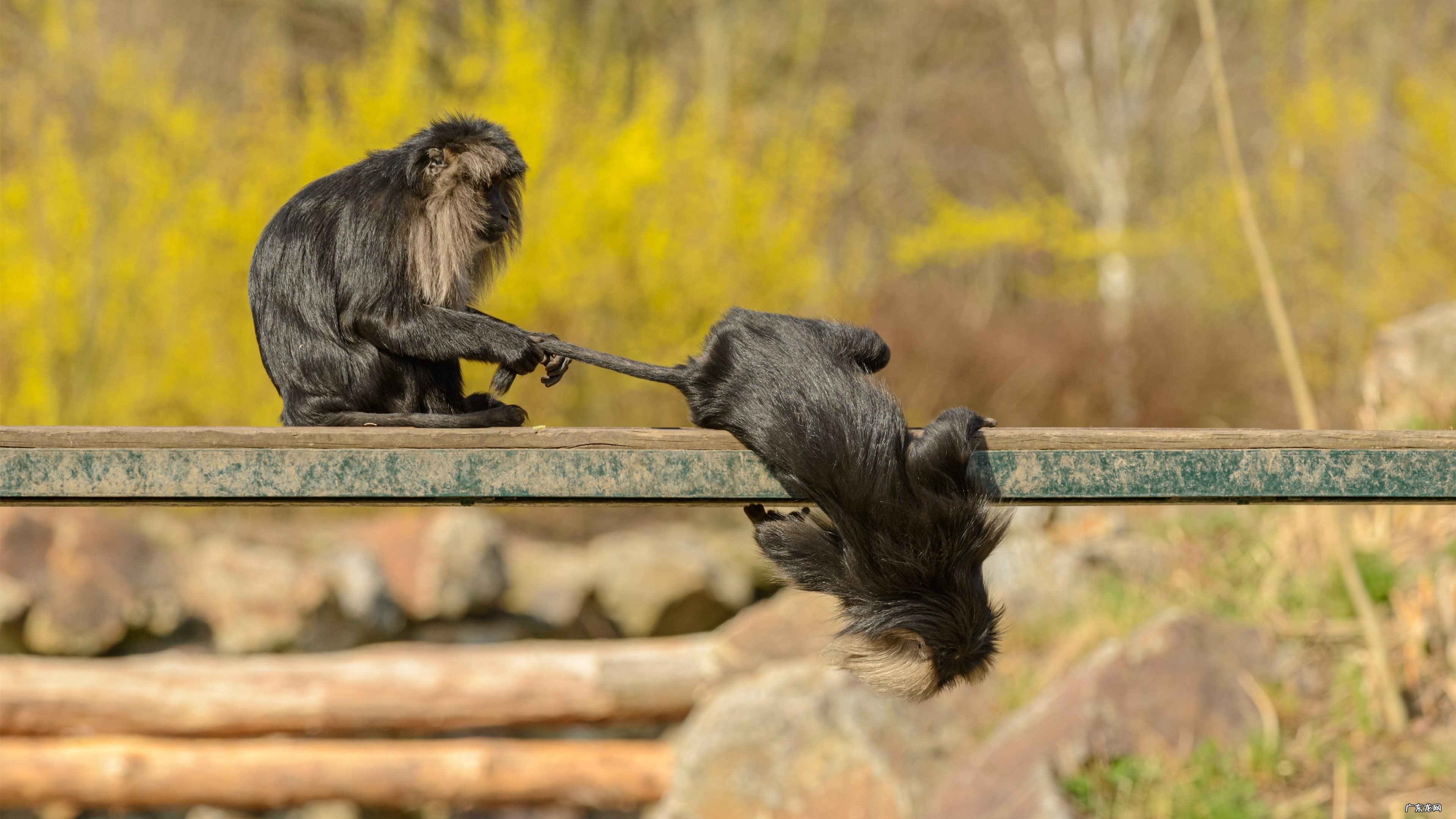 如果在经期,怎样的运动可以减肥?