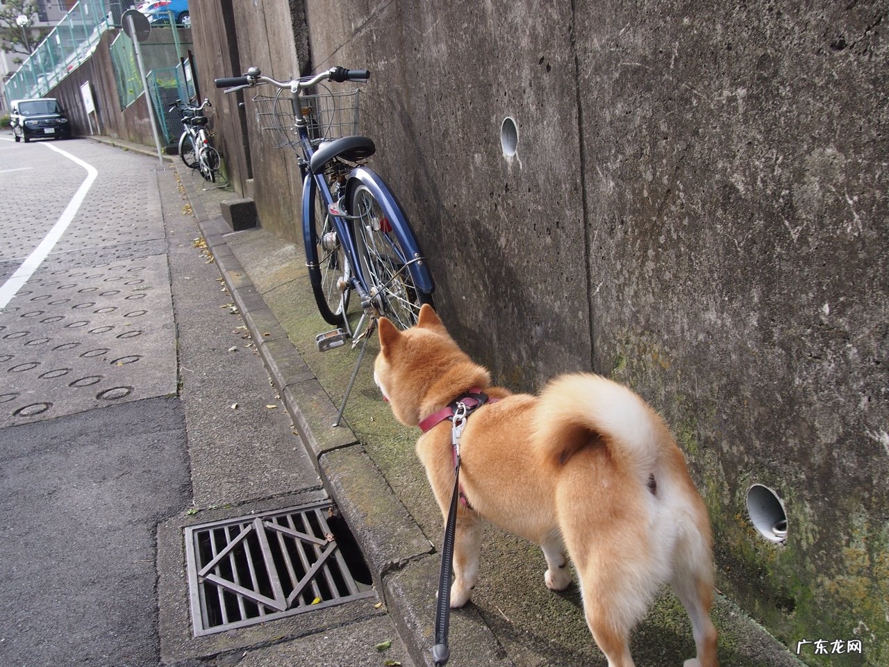 有没有增肥的好方法?女生168厘米98斤太瘦了,泪崩?