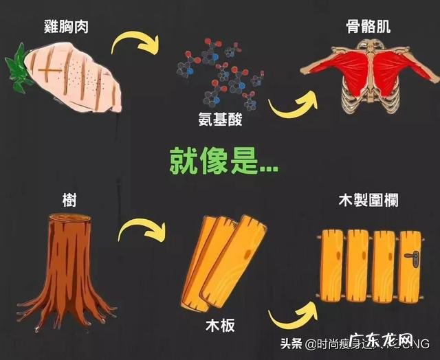 网上减肥瘦身的产品有用吗？没有的话，有没有其他的推荐呢？