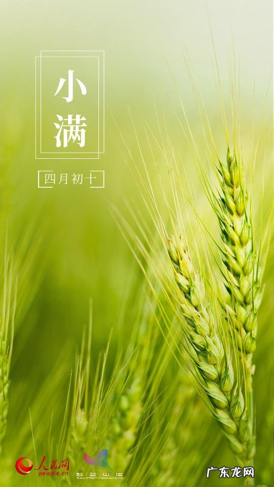 当孕期遇上小满节气-大暑节气怀孕好吗