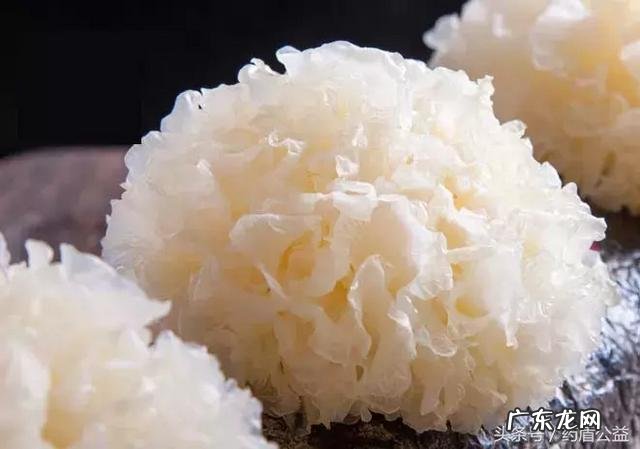 坚持喝银耳汤,会产生什么变化?