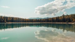 7日瘦身汤安全吗?容易反弹吗?效果怎么样?？