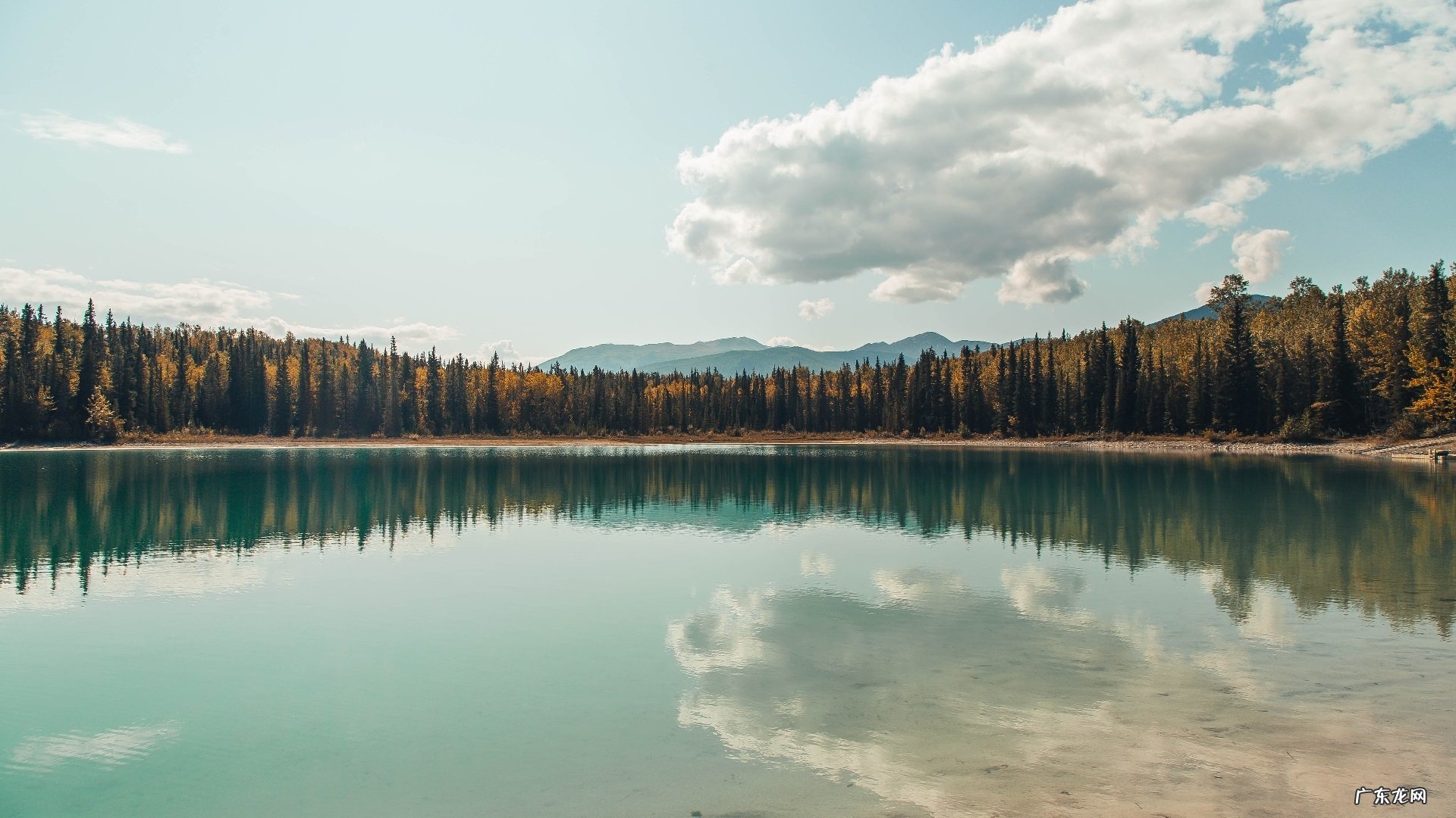 7日瘦身汤安全吗?容易反弹吗?效果怎么样?？