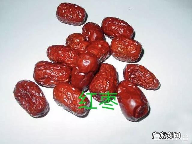 枸杞与蒲公英及菊花一起喝好吗 枸杞、大枣、菊花和蒲公英能一起泡茶喝吗?