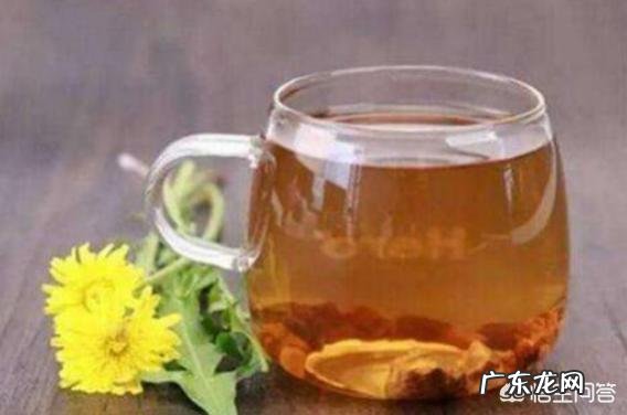 枸杞与蒲公英及菊花一起喝好吗 枸杞、大枣、菊花和蒲公英能一起泡茶喝吗？