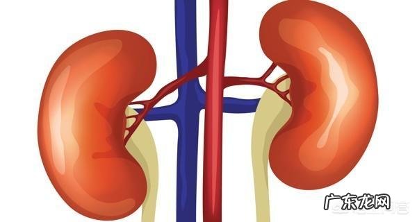 一个人一天一直喝水会怎么样?