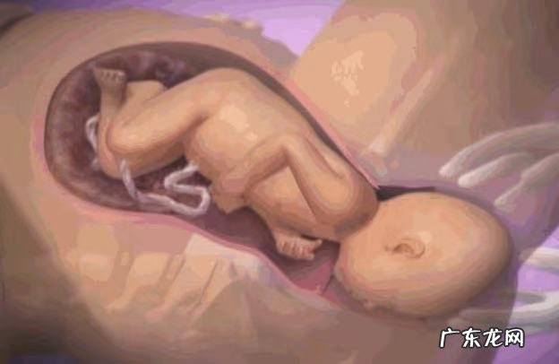 孕妇先兆临产有什么症状-孕妇临产之前的征兆