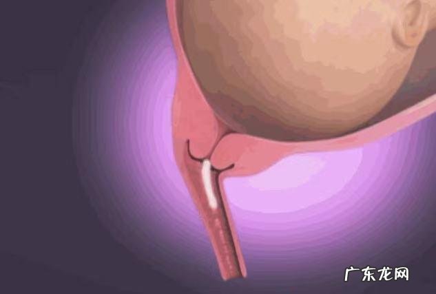 孕妇先兆临产有什么症状-孕妇临产之前的征兆