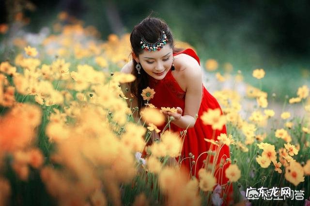 春英广场舞又见山里红分解动作 又见山里红广场舞春英是谁唱的歌?