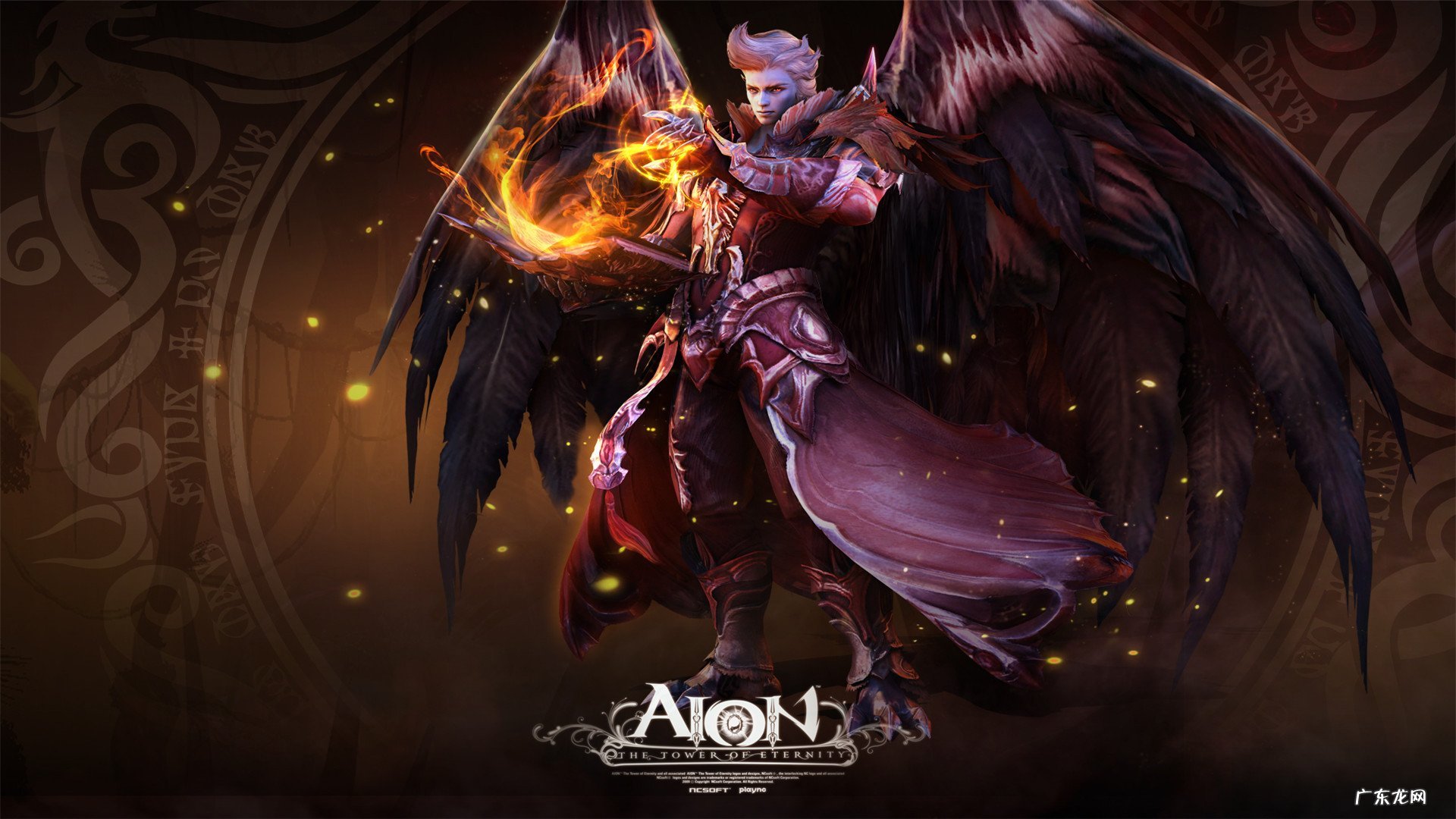 吃减肥药期间怀孕了怎么办?