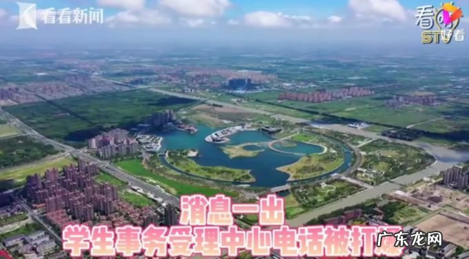 上海也来“抢”人才了,这类人或可直接落户,咨询电话已被“打爆”