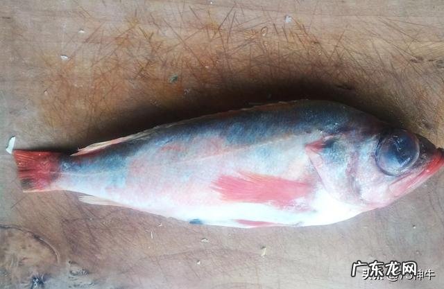 美团上史上最逗差评是什么 大家吃过的最差评食物是什么?