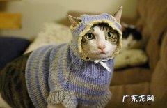 男生身高177cm、体重75公斤，如果想要减脂，该怎么吃？