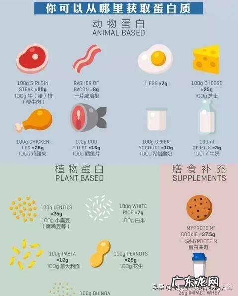 减脂如何计算自己基础代谢,还有每天需要吃多少克蛋白质?
