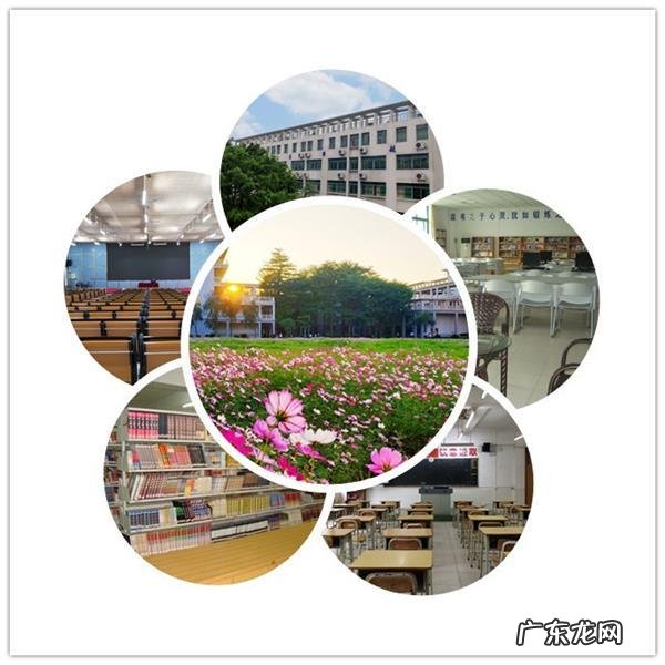 顺德龙江职业技术学院怎么样 佛山龙江科技职业学院怎么样?