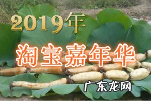2019春晚分会场城市 2019淘宝嘉年华【零食行业分会场】招商规则是什么?2019春晚分会场在郑州哪里