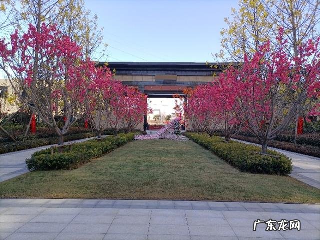 开货站都需要什么条件啊?