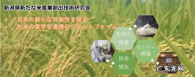 从火爆的国民零食到太空食品,一粒米的花式玩法还有多少可能性?