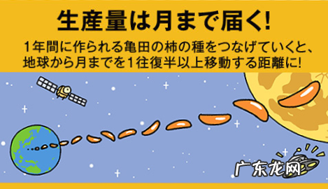 从火爆的国民零食到太空食品,一粒米的花式玩法还有多少可能性?