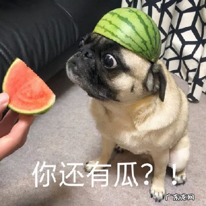 负分公关!螺蛳粉吃出虫卵,好欢螺狡辩:商业诋毁