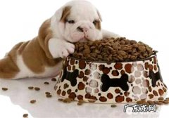 自制狗粮居然那么简易，赶紧来学一学习吧