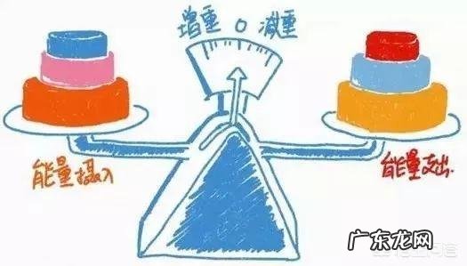 请问不吃早餐和吃了饭就睡的肥胖率哪个比较高?