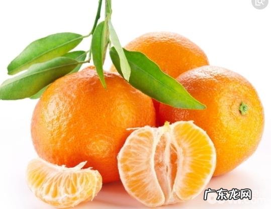 小狗担心的味道,小狗担心的味道有什么?