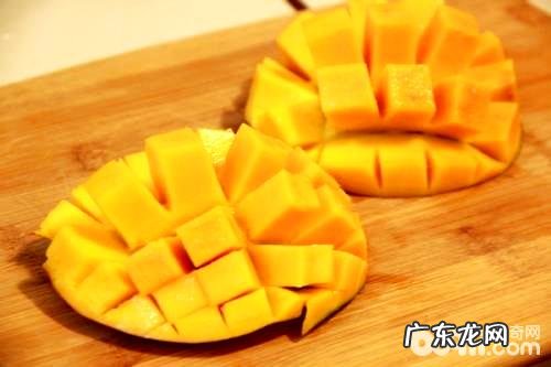 能够 来养小狗青芒吗?