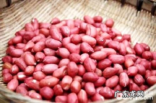 狗狗吃花生，小狗能够 吃花生吗？