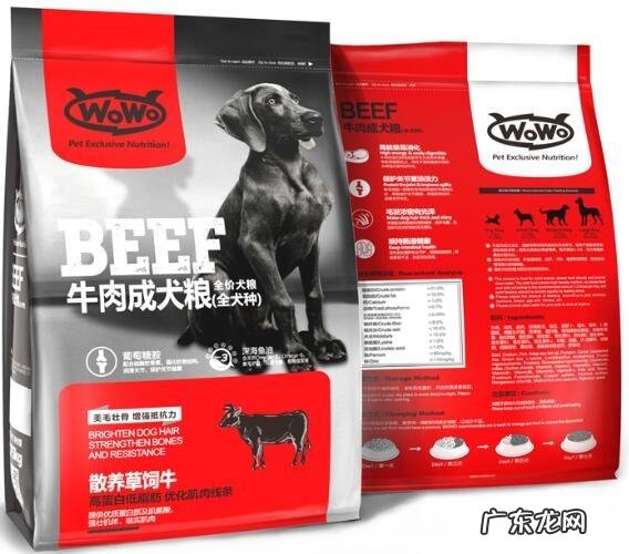 成狗粮应当如何选择?