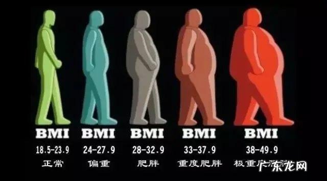 BMI 「健康素养小讲堂」什么是体质指数?