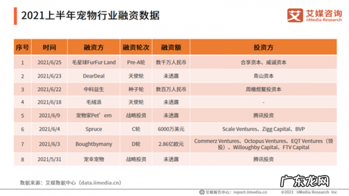 宠物行业类似“轻母婴”?情感消费升温,7000万+宠物主的生意如何做?