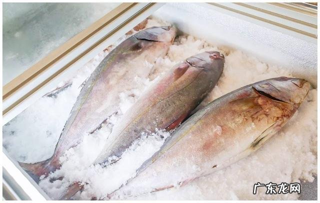 孕妇几个月时吃鱼对胎儿好-孕期吃鱼对胎儿聪明吗