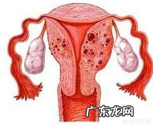 女性备孕可以吃些什么 女性备孕时怎么用饮食调养身体?