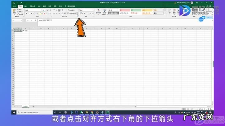 手机表格怎样一个写两行字? excel一个表格怎么打两行字