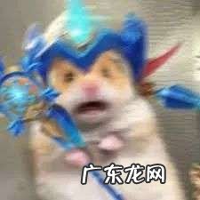 1000块一杯的网红饮料,毁了潮汕橄榄风评