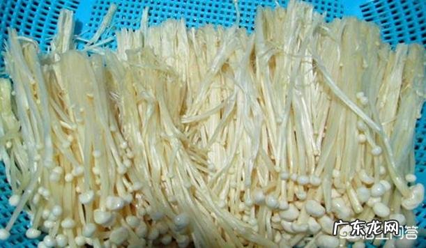 烧西红柿蛋汤时,你放哪些调味料呢?