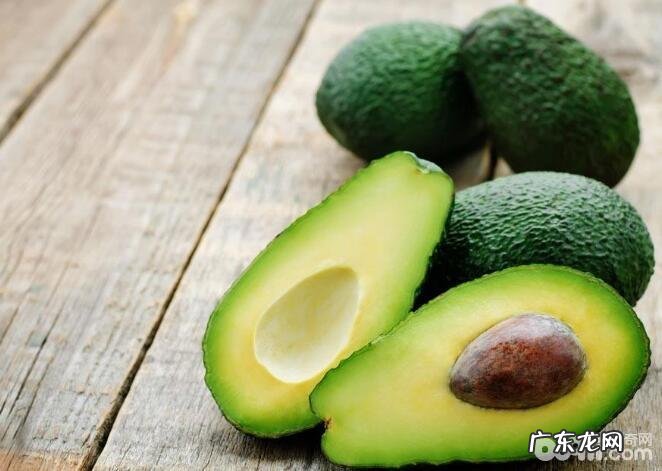 小狗喂养忌讳，什么食物不可以给小狗吃？