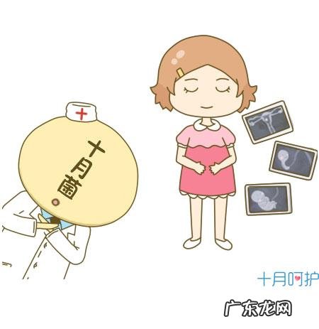 怀孕期间看的孕妇指南大全-孕妇防疫指南100条