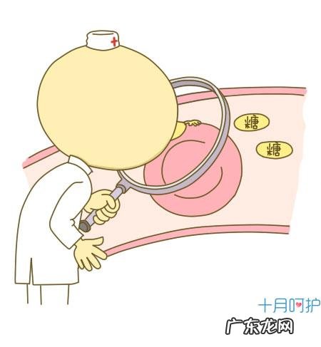 怀孕期间看的孕妇指南大全-孕妇防疫指南100条