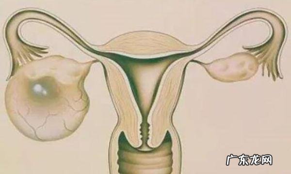 孕期注意事项图解-孕期要特别注意什么