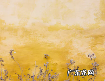 直通车测图点击率怎么看？怎么测图？