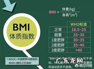 用水果或干果代替晚餐,能减肥吗?