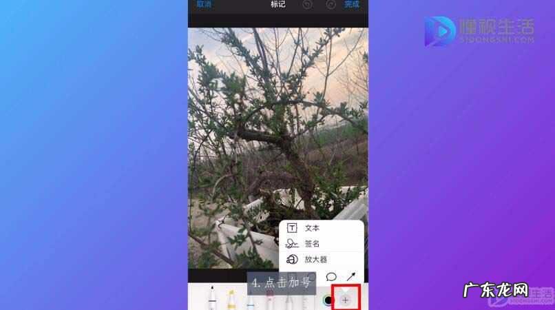 苹果自带放大镜p图? 苹果手机怎么放大图片中的一部分